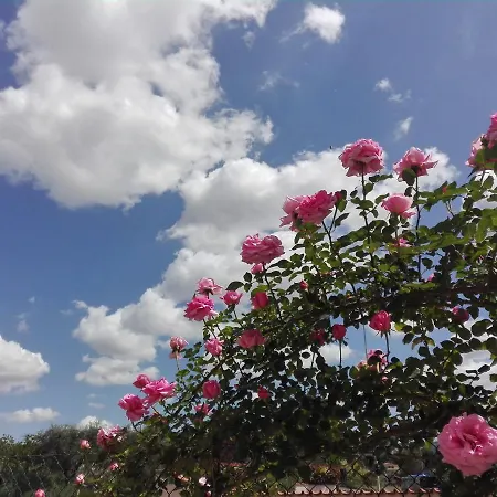 Borgo Vigna Ferri Bed and breakfast
